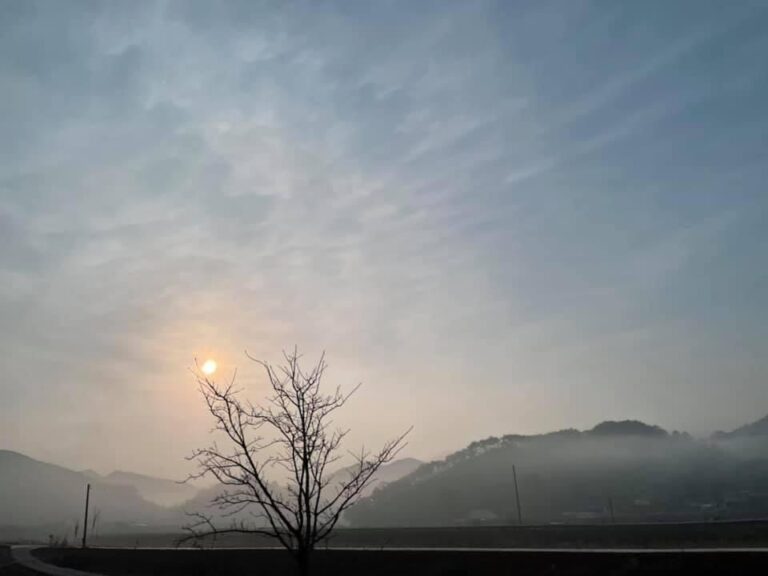 소작농 일기 3
