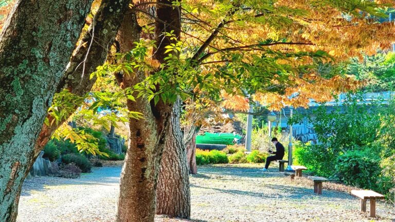[사천의 길&숲] 숨이 쉬는 삶터–사천강 생명길