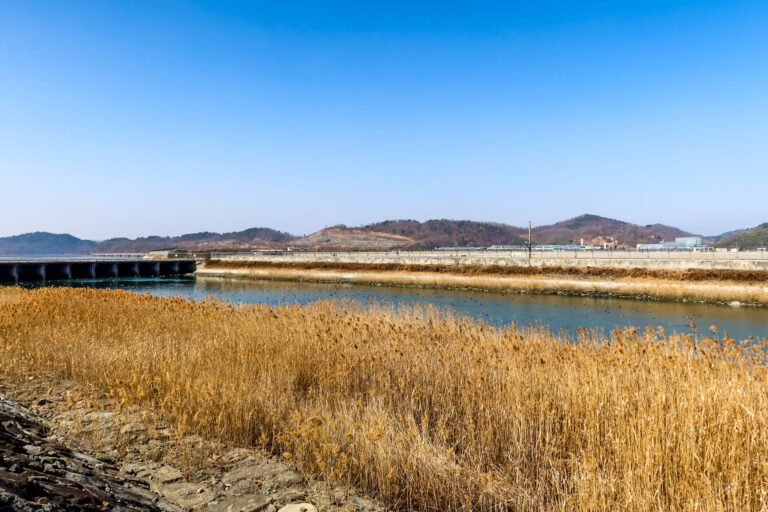 사천강, 바다가 되다