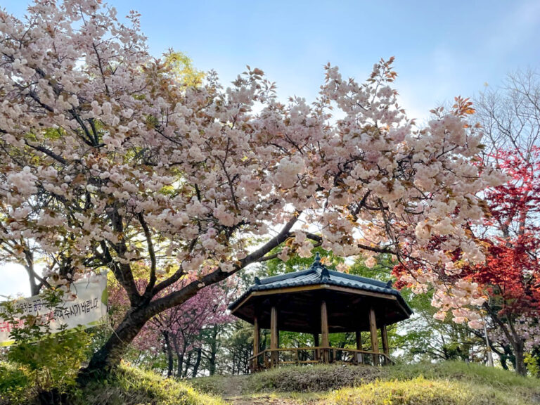 뒷산으로 오세요
