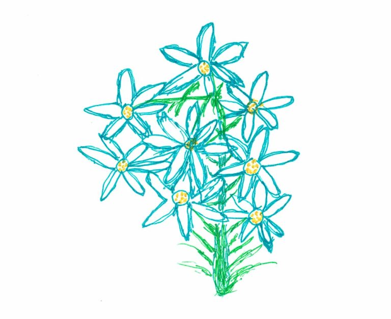 백합꽃