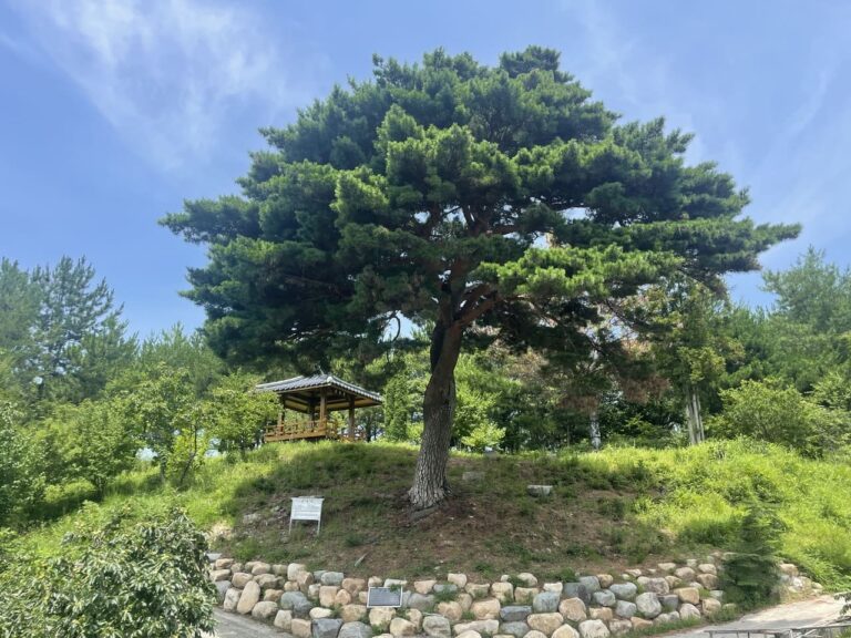 계절이 흐르는 정원으로, 박연묵교육박물관