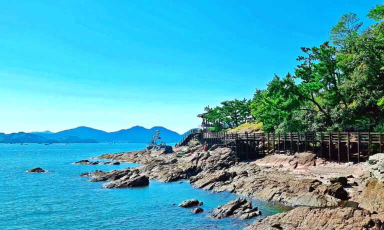천년의 바람이 민박하는 노산공원