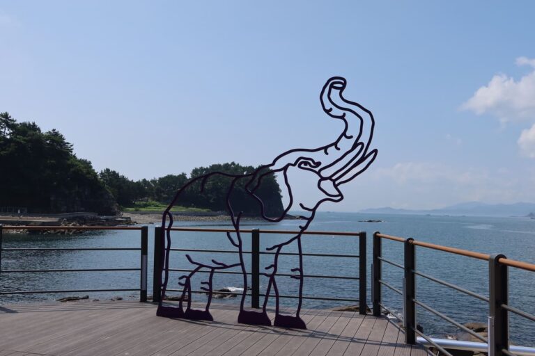 ‘코바’를 아십니까?