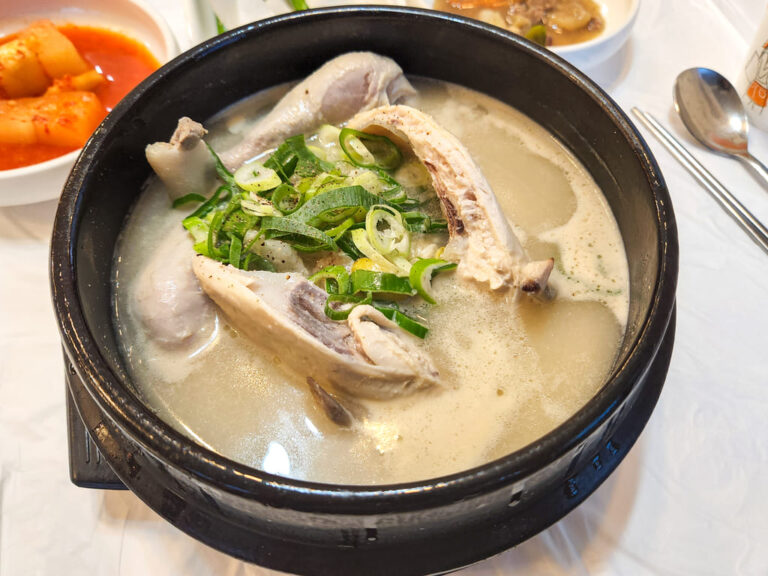예진아씨 맛집기행 향촌동 향원삼계탕