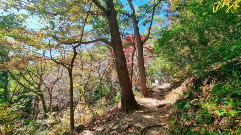 각산 약수터 길에서 나의 30년 나이테를 만나다