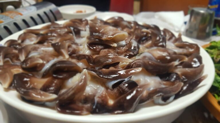 용궁 오가는 바다새 – 봄 맛 절정 “사천 새조개”