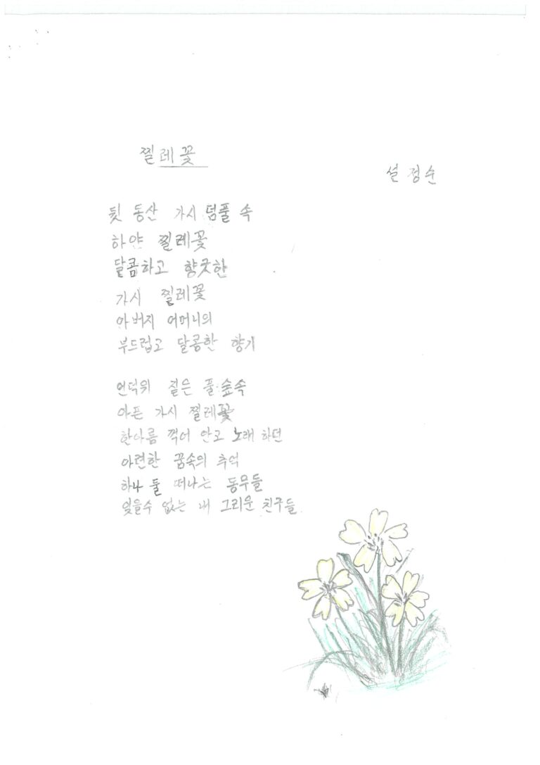 찔레꽃