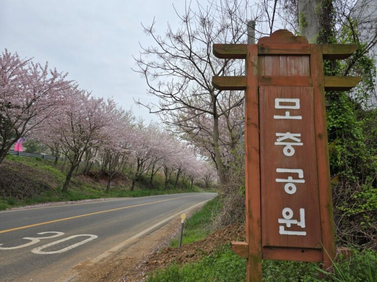사천해전의 흔적을 찾아 가 본 봄날의 모충공원